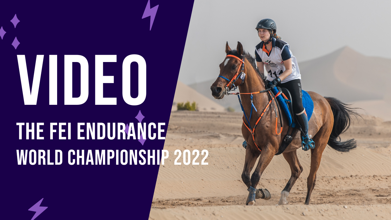 Social Media Uitbesteden & Content Creatie | Equitive Media